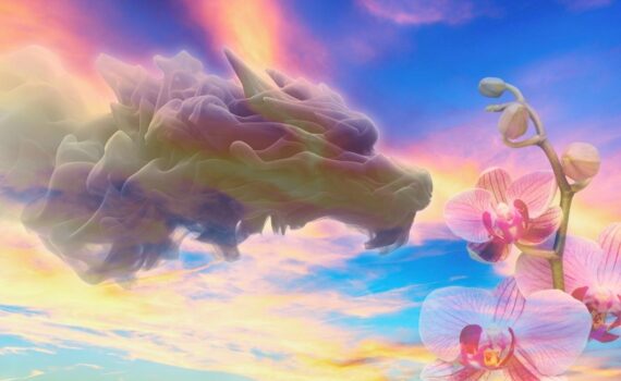Photo of cloud formation resembling a dragon, and an image of an orchid