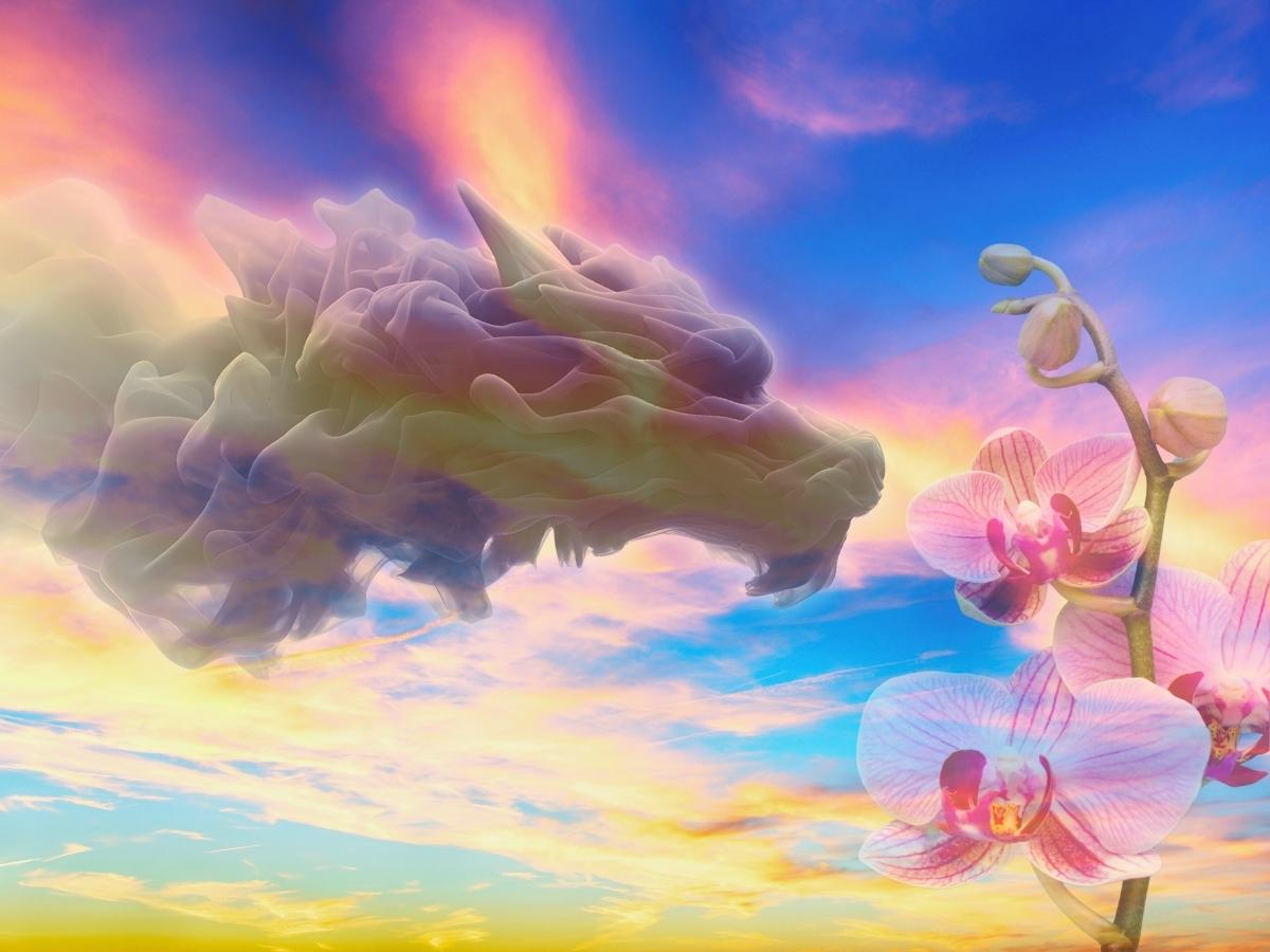 Photo of cloud formation resembling a dragon, and an image of an orchid