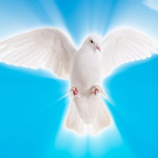 Messages from the Other Side