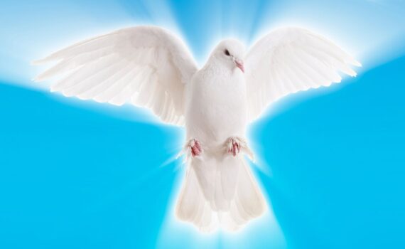 Messages from the Other Side