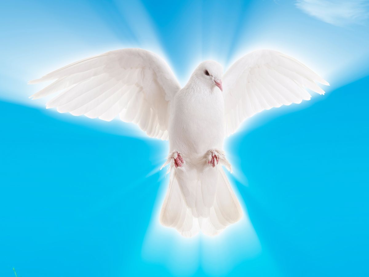 Messages from the Other Side