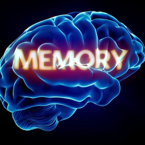 Mandela Effect shifting timelines