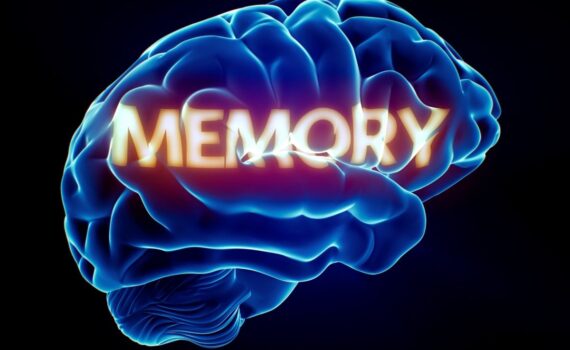 Mandela Effect shifting timelines