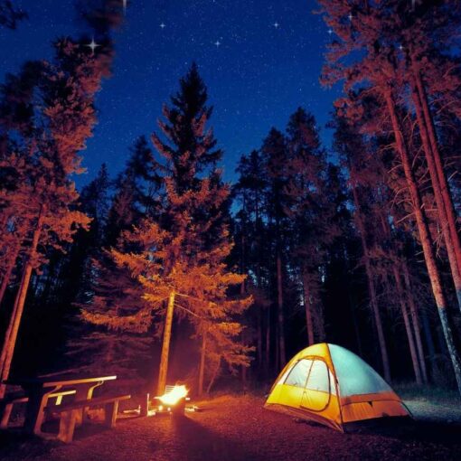 Finding tue happiness by accessing happy childhood memories like camping