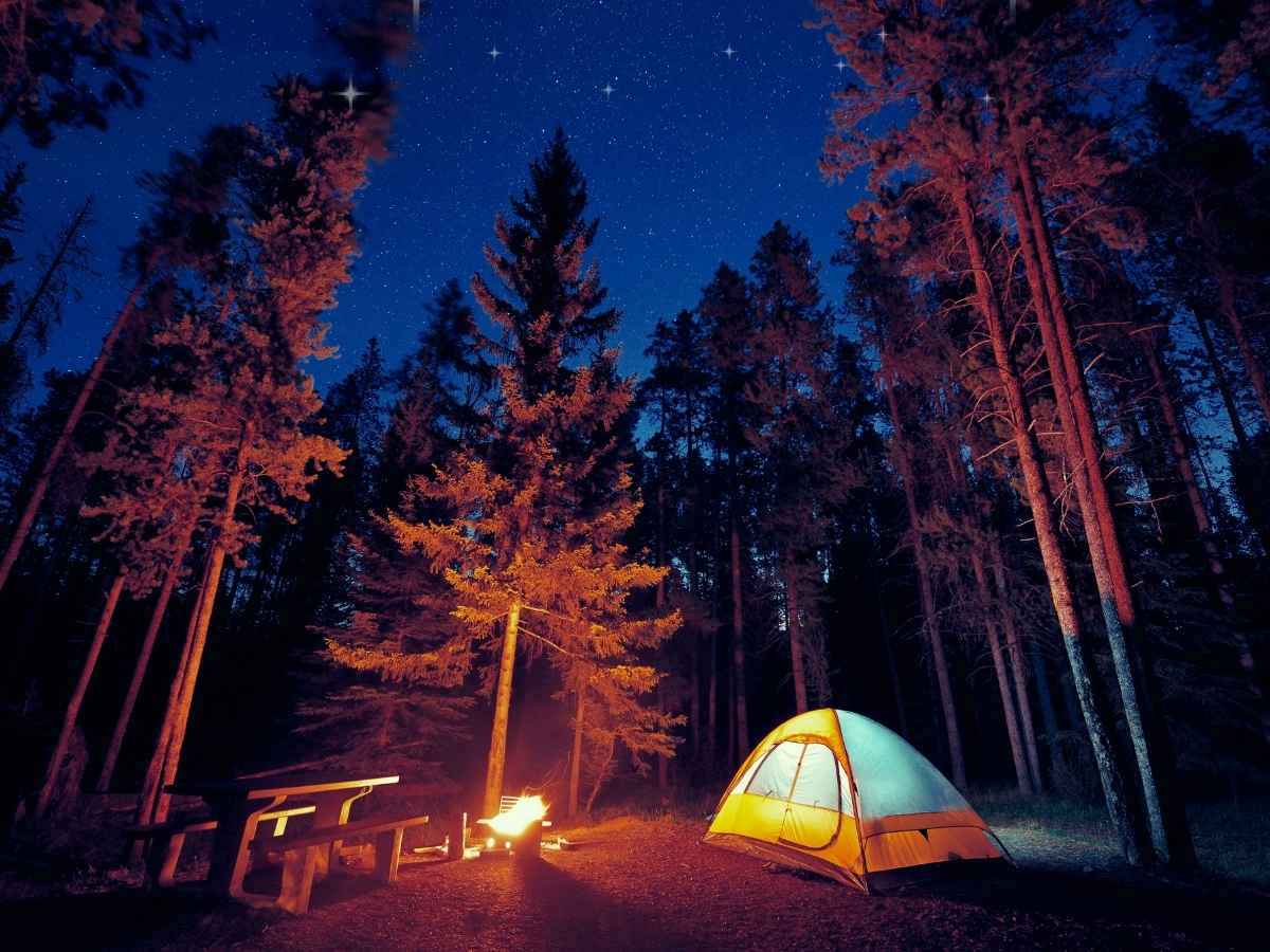 Finding tue happiness by accessing happy childhood memories like camping