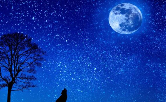 Reflections on Our Lightness of Being