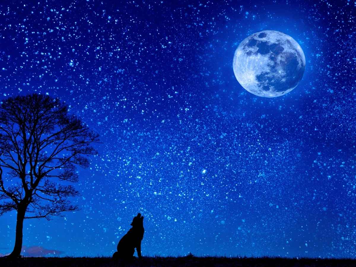 Reflections on Our Lightness of Being