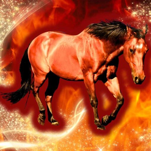 The fire horse - a Chinese symbol of the year 2026
