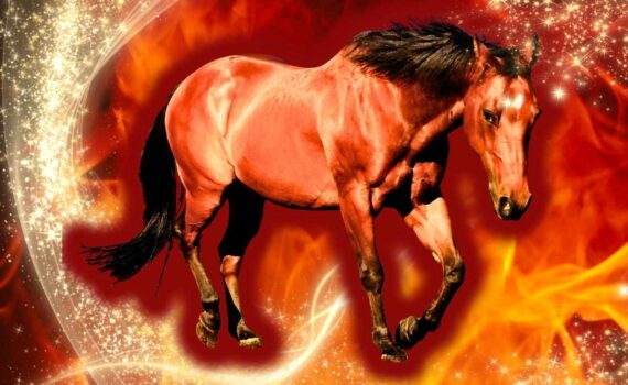 The fire horse - a Chinese symbol of the year 2026