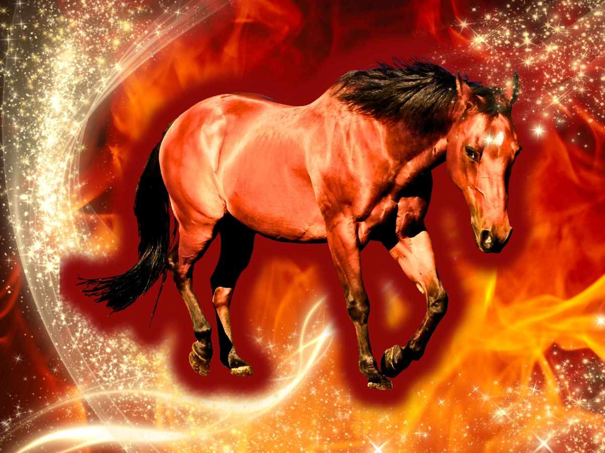 The fire horse - a Chinese symbol of the year 2026
